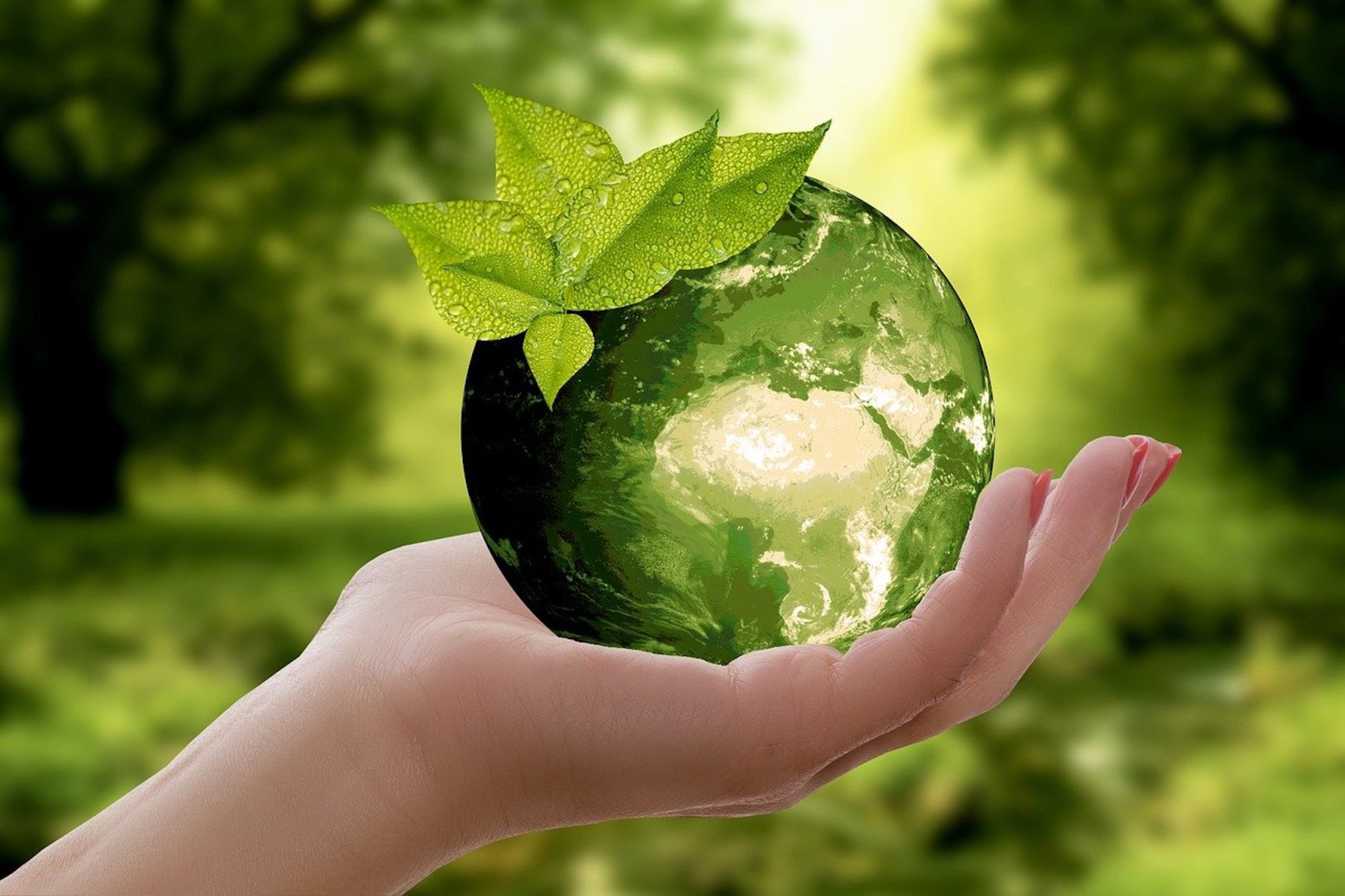 Green earth stock img